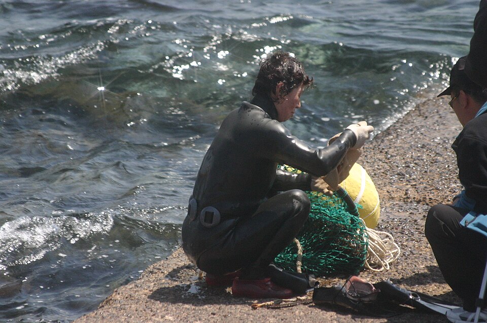 Jeju haenyeo women divers in the sea